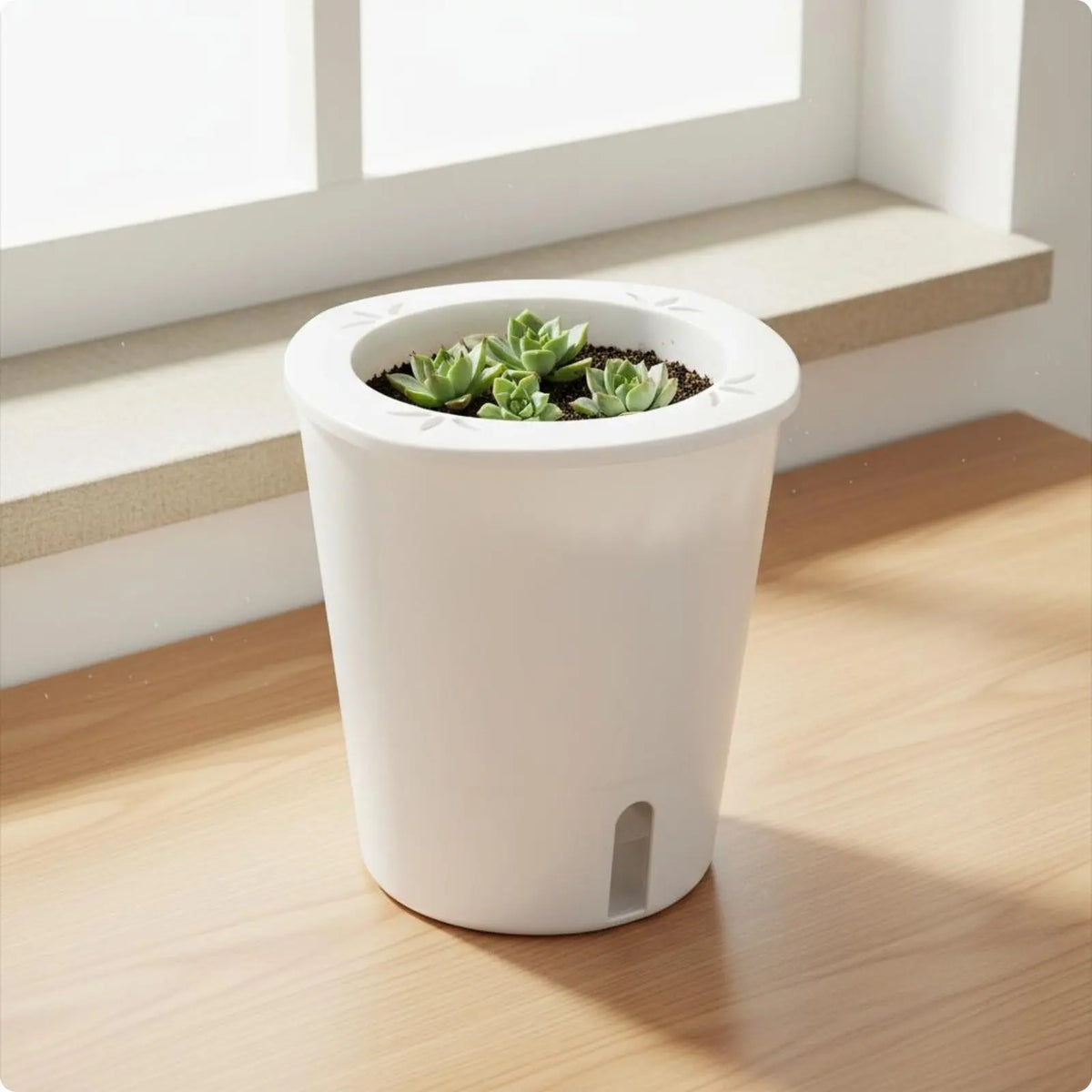 Pot Auto-Arrosant Grande Taille – Réservoir Intégré | Balcon, Terrasse & Jardin