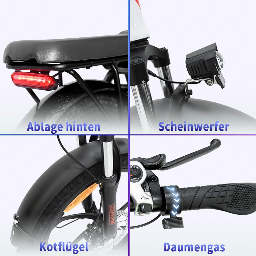 Fafrees F20 Elektrische vouwfiets 36 V 16 Ah accu 20 x 3,0 inch elektrische fiets bereik tot 60-130 km, 250 W Fatbike, Pedelec 25 km/u, opvouwbare elektrische fiets voor dames en heren