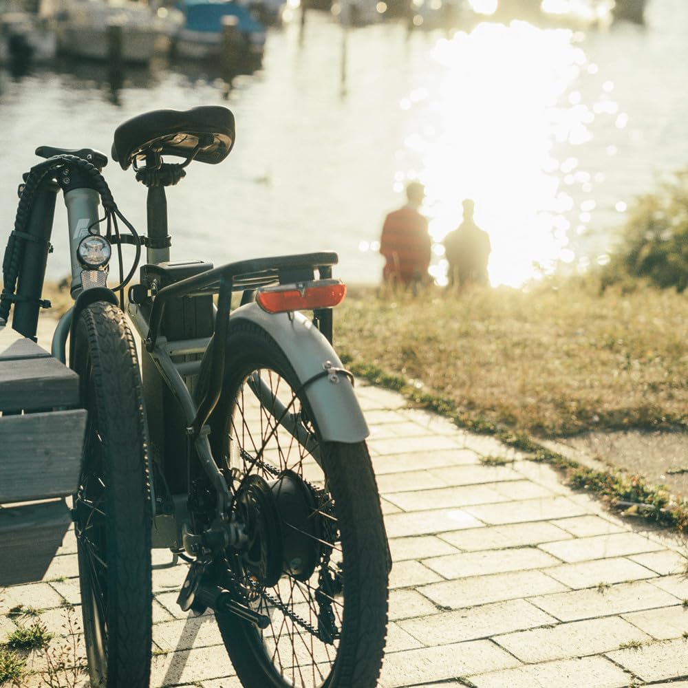 Fafrees F20 LIGHT Elektrische fiets, 20 inch opvouwbare elektrische stadsfiets, 250 W motor, 16,75 Ah accu, 7 versnellingen e-bike voor dames, bereik 110 km