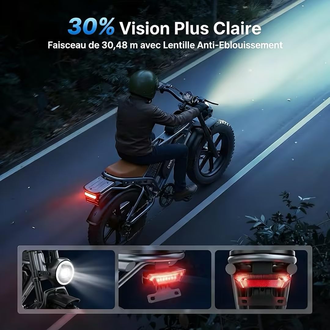 DEEPOWER QS7 Electric Bike, Removable Battery 48V 60Ah/35Ah/20Ah, Autonomy 110-250KM, Motor 120Nm, Fat Tyre 20'' X 4.0, 7 Speed, Full Hydraulic Suspension