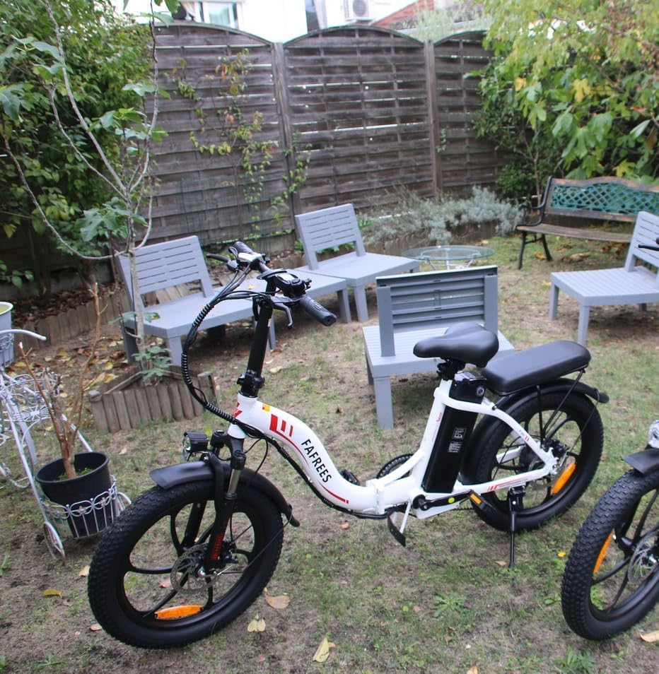 Fafrees F20 Elektrische vouwfiets 36 V 16 Ah accu 20 x 3,0 inch elektrische fiets bereik tot 60-130 km, 250 W Fatbike, Pedelec 25 km/u, opvouwbare elektrische fiets voor dames en heren