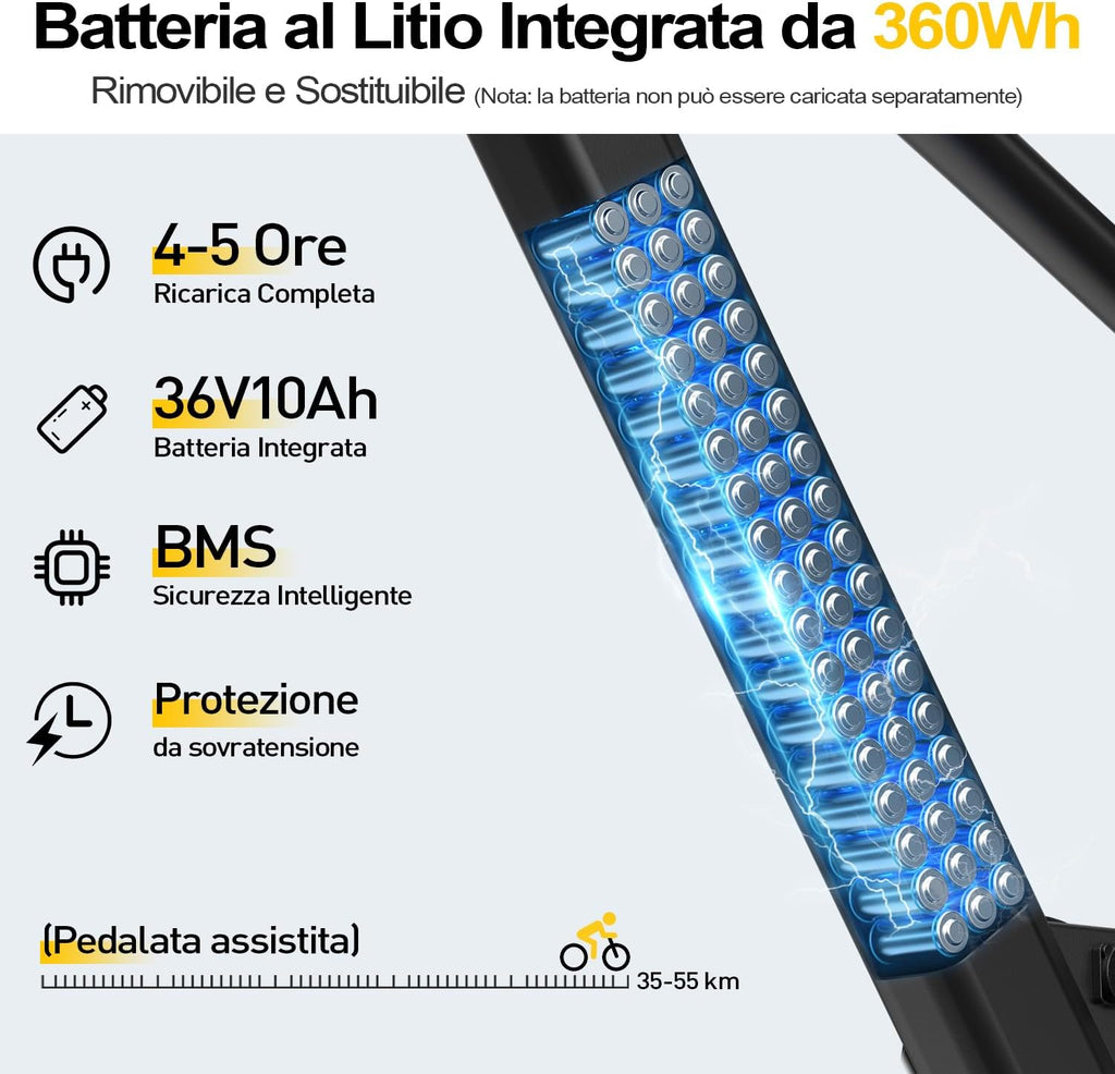 Elektrische fiets voor heren met 36 V 10 Ah accu, 7 versnellingen transmissie met lcd-display, 250 W motor en 25 km/u, lange afstand 80 km, 24/26 inch elektrische fiets voor volwassenen (26