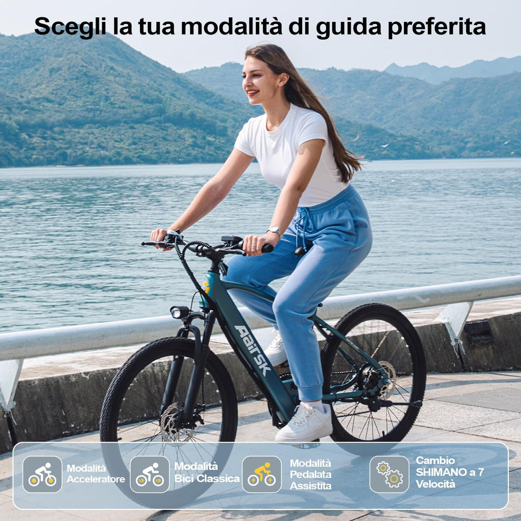 Elektrische fiets voor heren met 36 V 10 Ah accu, 7 versnellingen transmissie met lcd-display, 250 W motor en 25 km/u, lange afstand 80 km, 24/26 inch elektrische fiets voor volwassenen (26