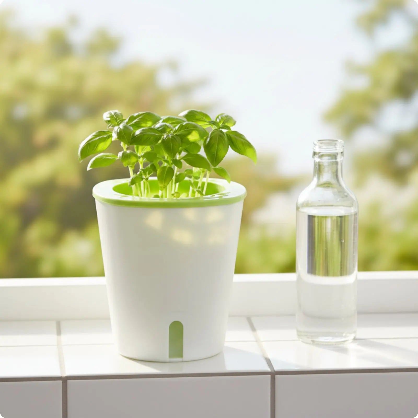 Pot Auto-Arrosant Grande Taille – Réservoir Intégré | Balcon, Terrasse & Jardin